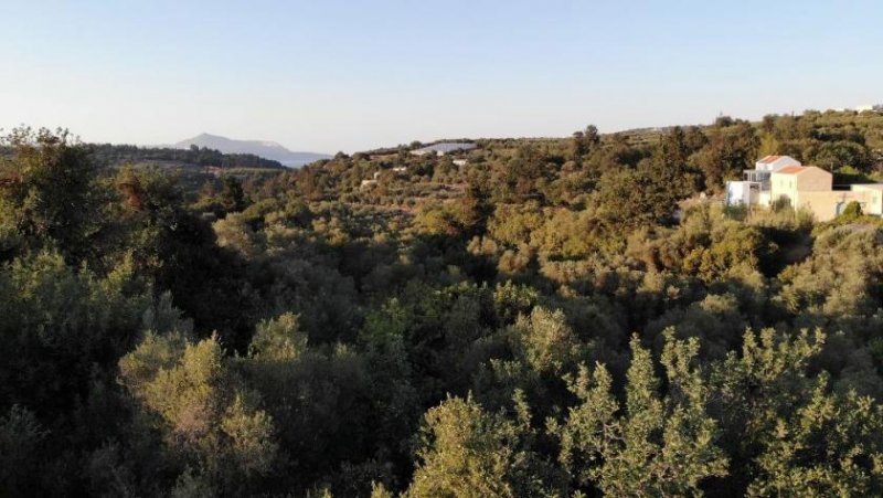 Neo Chorio im Apokoronas Kreta, Neo Chorio: Charmantes Baugrundstück mit Olivenbäumen und Panoramablick im Apokoronas zu verkaufen Grundstück kaufen